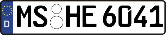 MS-HE6041