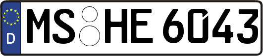 MS-HE6043