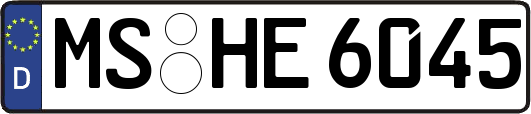 MS-HE6045