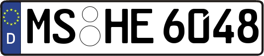 MS-HE6048