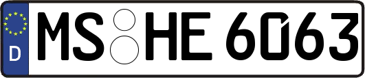 MS-HE6063