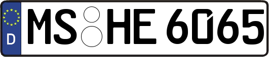 MS-HE6065
