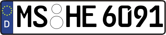 MS-HE6091