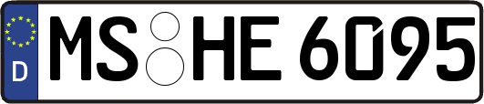 MS-HE6095