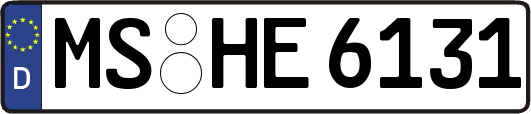 MS-HE6131