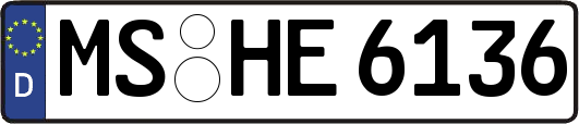 MS-HE6136