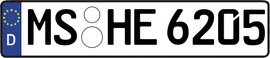 MS-HE6205