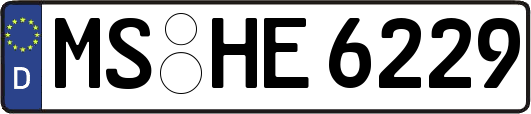 MS-HE6229