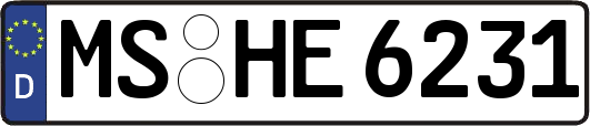 MS-HE6231