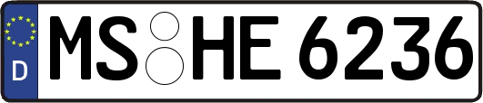 MS-HE6236