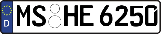 MS-HE6250