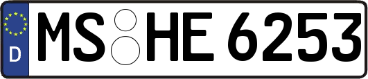 MS-HE6253