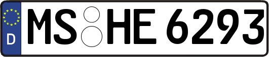 MS-HE6293