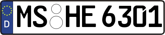 MS-HE6301