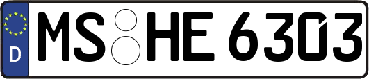 MS-HE6303