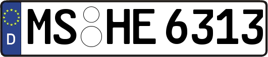 MS-HE6313