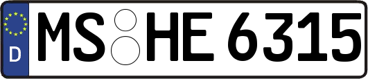 MS-HE6315