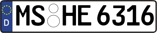 MS-HE6316