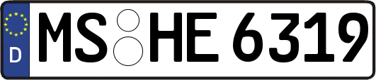 MS-HE6319
