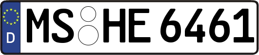 MS-HE6461