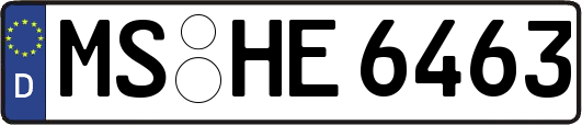 MS-HE6463