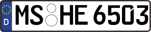 MS-HE6503