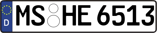 MS-HE6513