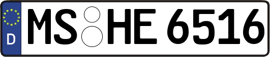 MS-HE6516