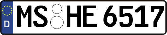 MS-HE6517