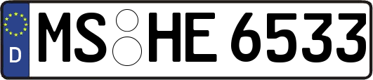 MS-HE6533