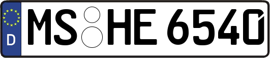 MS-HE6540