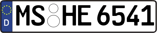 MS-HE6541
