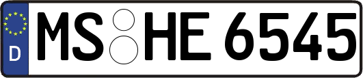 MS-HE6545