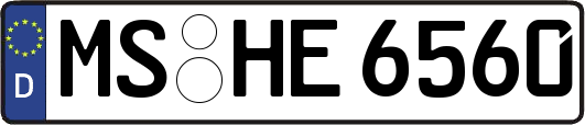 MS-HE6560