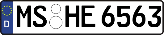 MS-HE6563