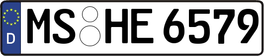 MS-HE6579