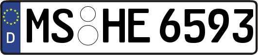 MS-HE6593