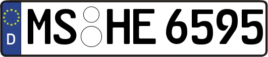 MS-HE6595