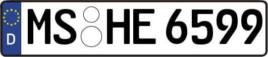 MS-HE6599