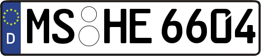 MS-HE6604