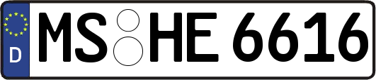MS-HE6616