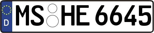 MS-HE6645
