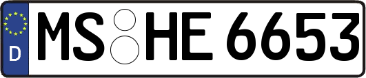 MS-HE6653