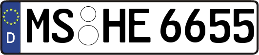 MS-HE6655