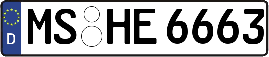 MS-HE6663