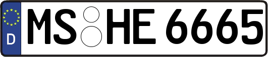 MS-HE6665