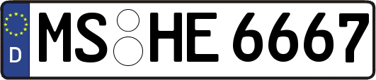 MS-HE6667