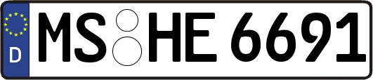 MS-HE6691
