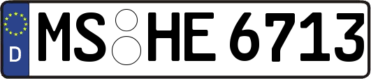 MS-HE6713