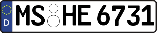 MS-HE6731